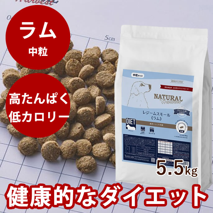 おいも大寄りあつまる