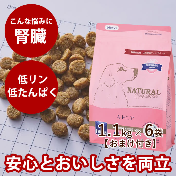 おいも大寄りあつまる