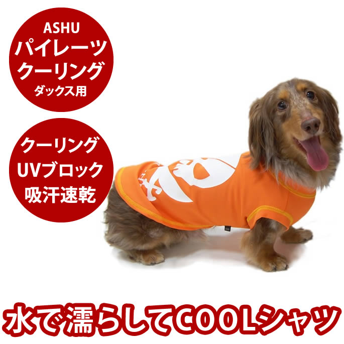 l*9様 アルファアイコン サマークーリングパーカー Mサイズ Alphaico l*9様