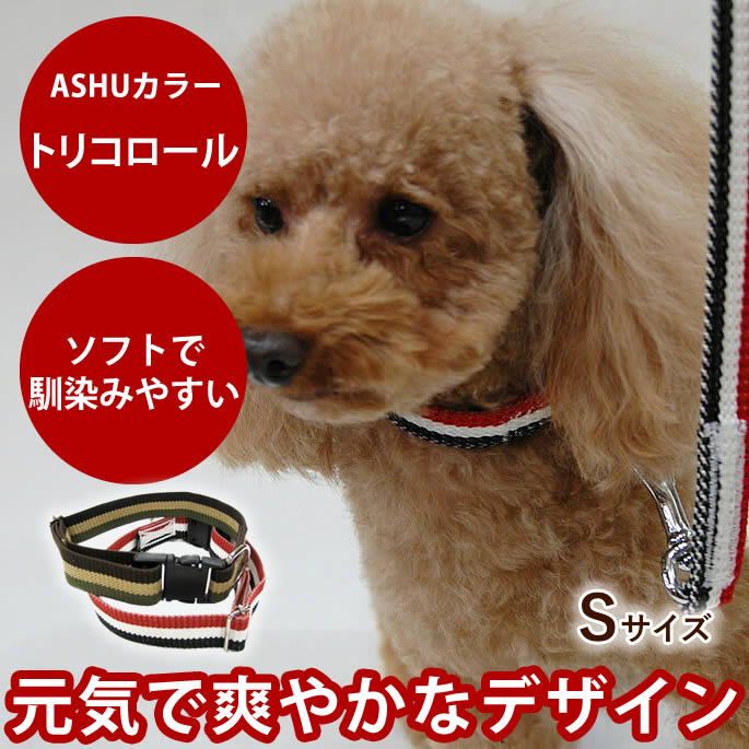 楽天市場】犬 首輪 大型犬 ASHU トリコロールカラーL【リードは別売り