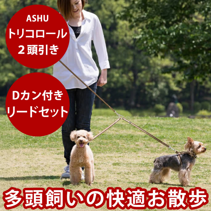腎の臓に愛想のいい召し上がる特集