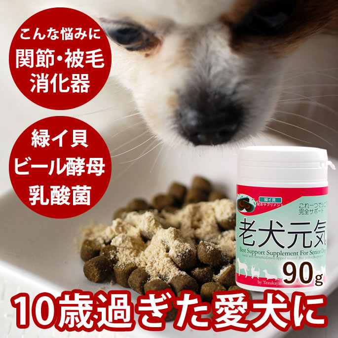 シニア犬の健康サポートサプリ