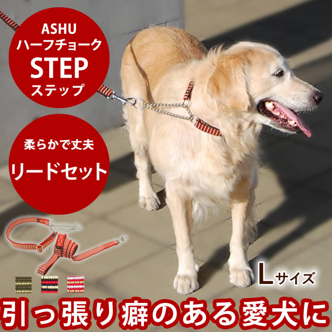 【割引クーポン配布中】ハーフチョーク 大型犬 ASHU ステップ リードセットLラブラドール バーニーズ ナイロン テープ【ペットリード ペット用リード ペット用品 店 犬用 散歩用リード 犬用品 ペット用 ペット】お散歩グッズ ドッグ
