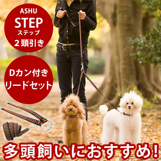 犬 2頭引きリード ASHU ステップ ２頭引きリードセット 多頭飼い　STEP 2匹用 小型犬 送料無料