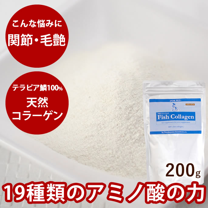 腎の臓に愛想のいい召し上がる特集
