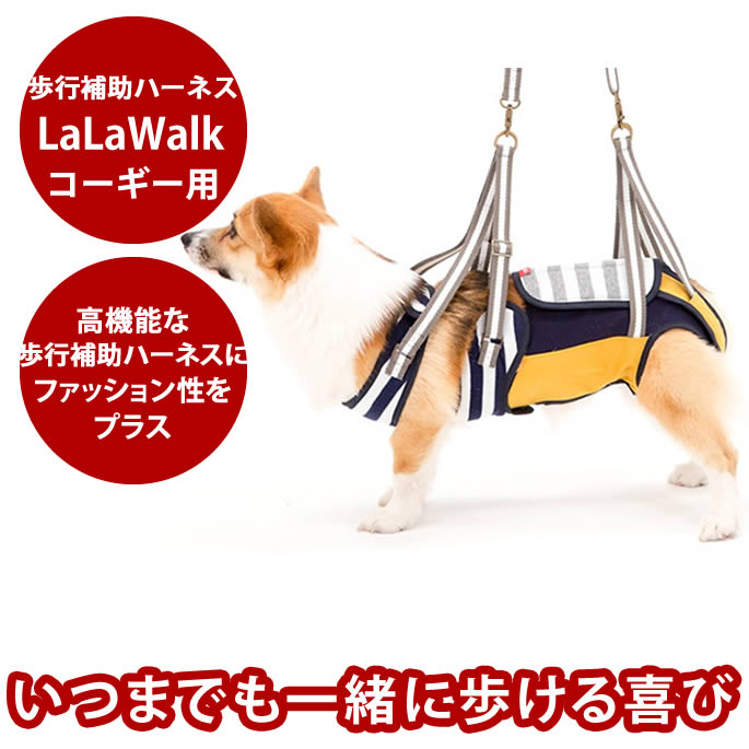 腎の臓に愛想のいい召し上がる特集