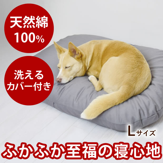 腎の臓にもの柔らか召し上がる特集