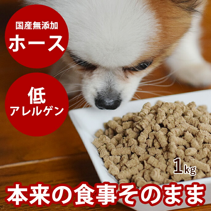 オーダー受付　6犬種ミルクわんこ　ご予約ページ　7/18 オーダー受付 6犬種ミルクわんこ ご予約ページ 7/18