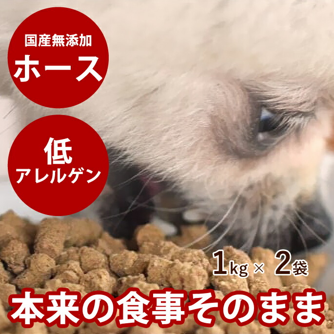 おいも大寄りあつまる