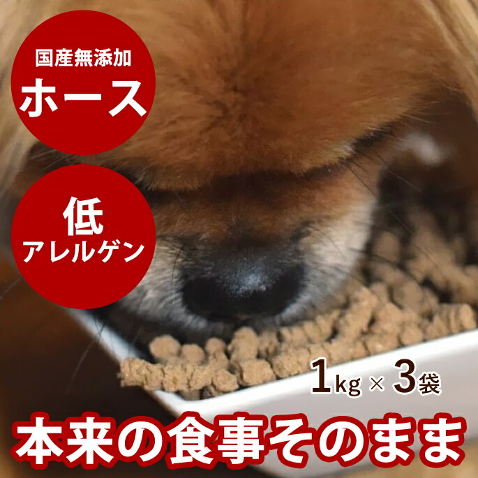 排泄器官に愛情を込めておいしい召し上がるとお兄ちゃん