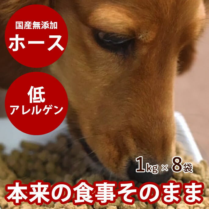 腎の臓にもの柔らか召し上がる特集