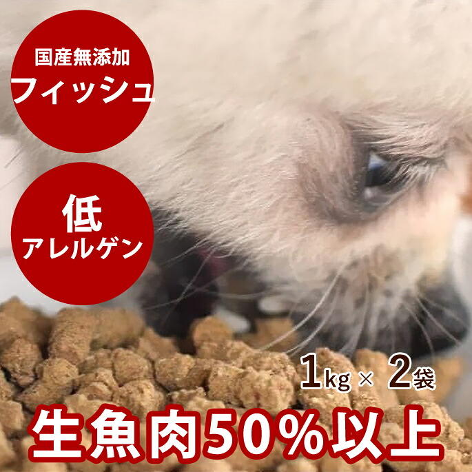 おいも大寄りあつまる