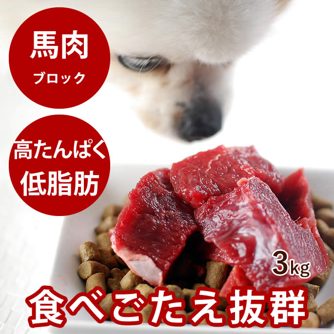 腎の臓に人懐っこい召し上がる特集