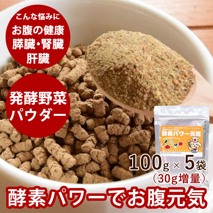 未使用　帝塚山ハウンドカム　簡単　犬用歯石取りペンチ、スケラー3点セット 帝塚山ハウンドカム 愛犬・愛猫用歯石取りペンチとスケーラー