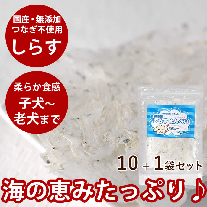 犬 おやつ 無添加 国産 しらすせんべい 7g 10＋1袋セット【鰯 イワシ 魚 おやつ 】犬 じゃこ 猫 低カロリー 国産　【カルシウムとビタミンＤを同時に摂れる。】グッズ 犬のおやつ 猫のおやつ 猫用おやつ 愛犬に