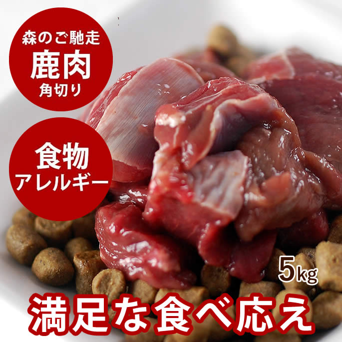 腎の臓に人懐っこい召し上がる特集