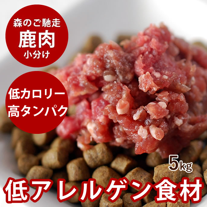 腎の臓に人懐っこい召し上がる特集