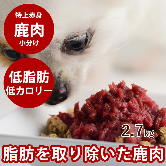 おいも大寄りあつまる