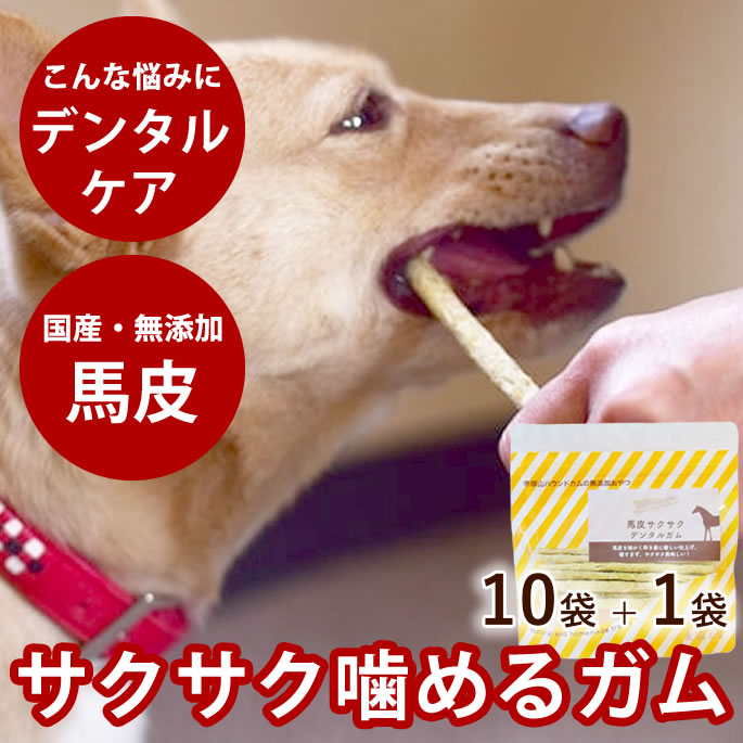 排泄器官に愛情を込めておいしい召し上がるとお兄ちゃん