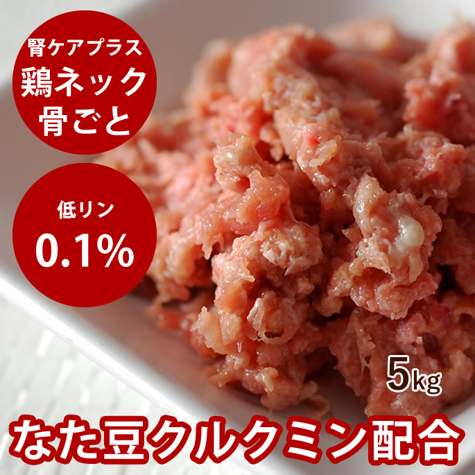 腎の臓に人懐っこい召し上がる特集