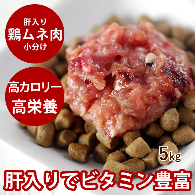腎の臓に人懐っこい召し上がる特集