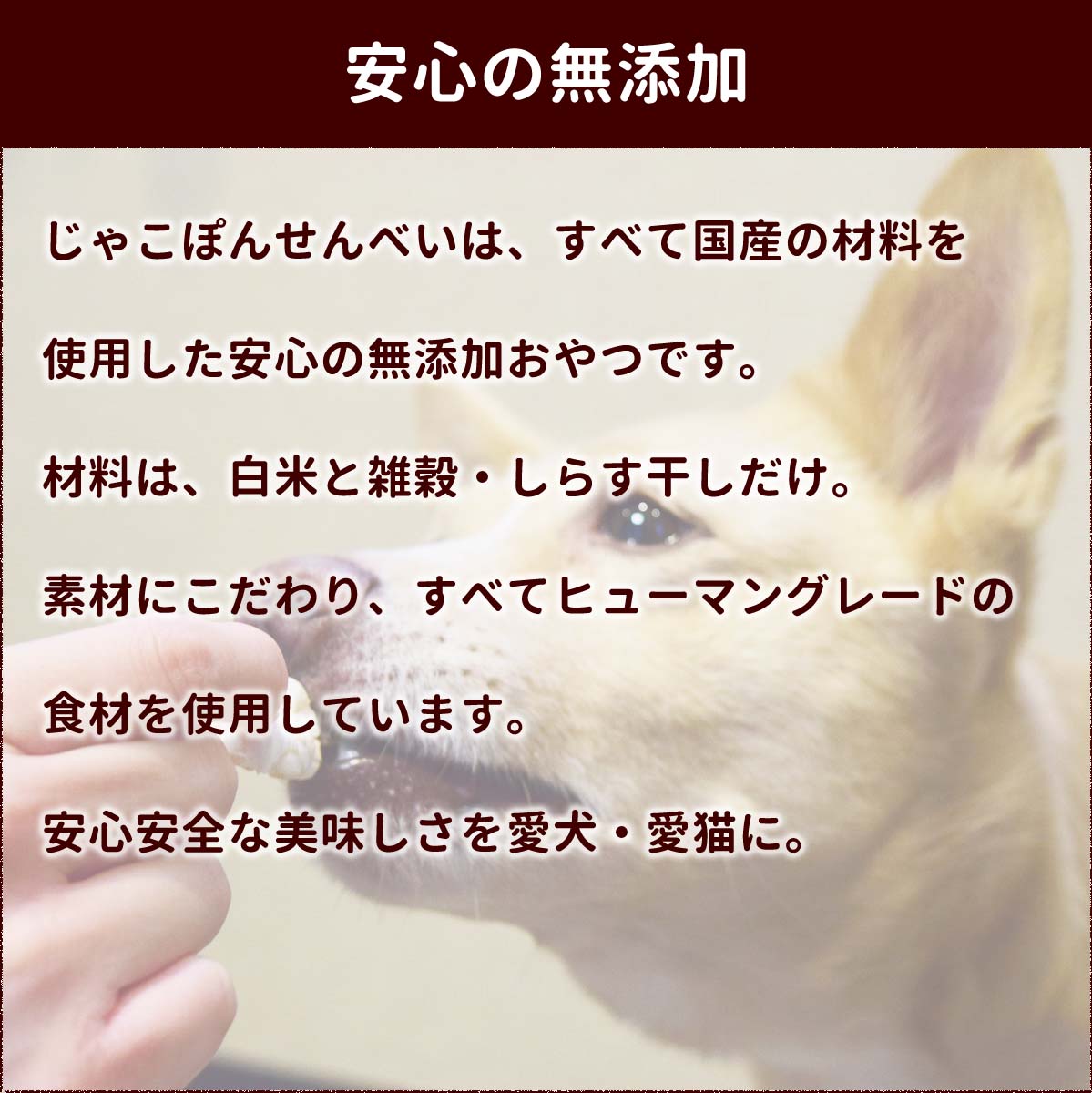 ランキング総合1位 犬 おやつ 雑穀入りじゃこぽんせんべい 30ｇ 11袋セット 国産 無添加 低カロリー ヘルシー ちりめん ポン菓子 老犬 幼犬 シニア犬 成犬 子犬 猫 食いつき 手作り おすすめ ビスケット クッキー 穀物 Whitesforracialequity Org