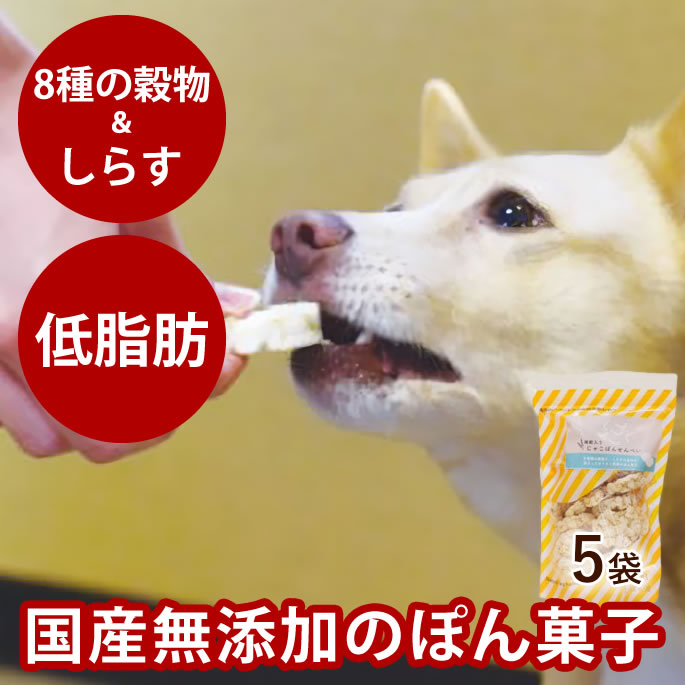 犬 おやつ 無添加 雑穀入りじゃこぽんせんべい 30ｇ 5袋セット 国産 犬用 ダイエット 魚のおやつ お得 多頭飼い おすすめ ごほうび ビスケット クッキー セール 特集
