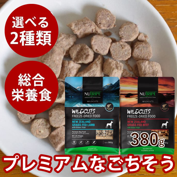 おいも大寄りあつまる