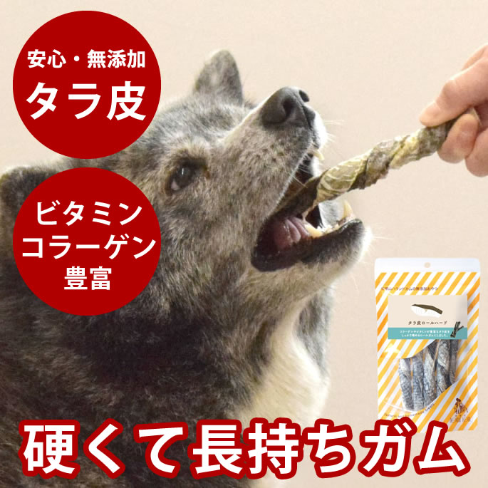 排泄器官に愛情を込めておいしい召し上がるとお兄ちゃん