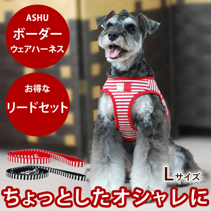 おいも大寄りあつまる