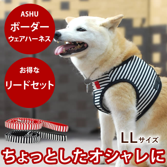 おいも大寄りあつまる