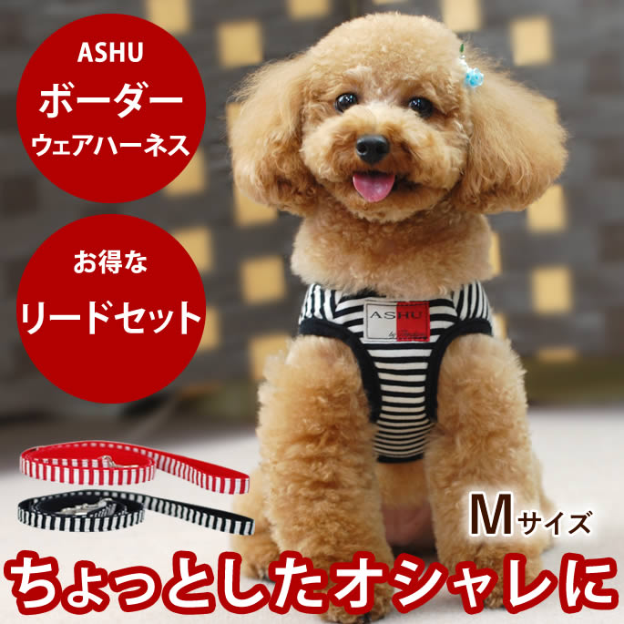 ハーネス セット ASHUウェアハーネスボーダー リードセット M 小型犬パピヨン送料無料 ドッグブランドアッシュ【犬ハーネス ペット用品 ドッグ トイプードル チワワ おしゃれ 犬用ハーネス 散歩用リード】ペット用　アッシュ　服の上から　老犬 ハーネス 高齢犬 シニア