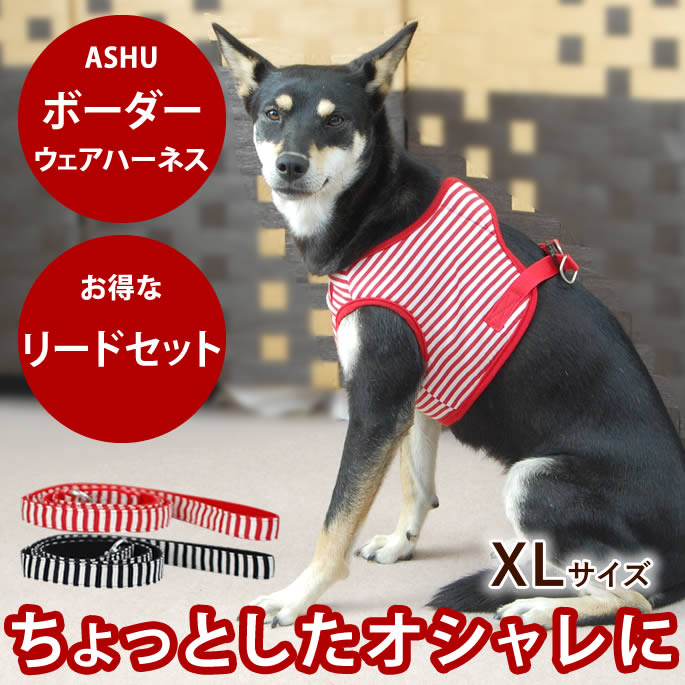 腎の臓に愛想のいい召し上がる特集