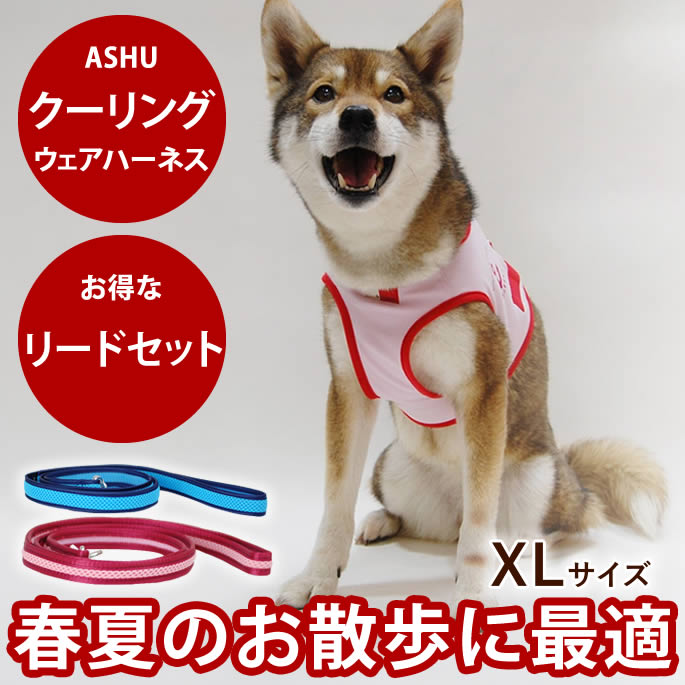 腎の臓にもの柔らか召し上がる特集