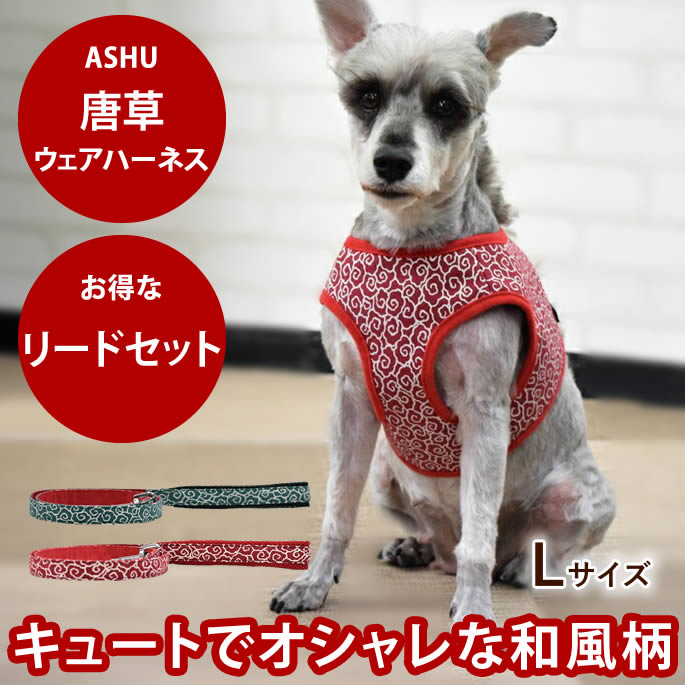 おいも大寄りあつまる