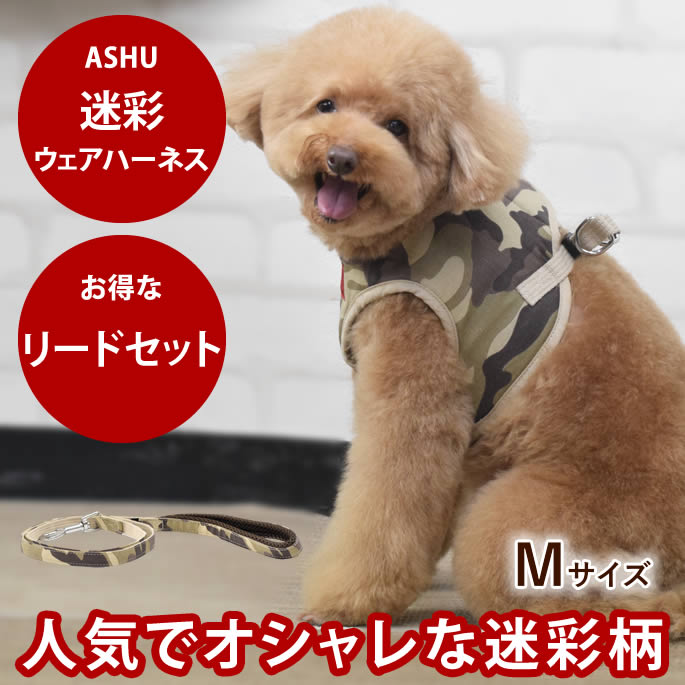 おいも大寄りあつまる