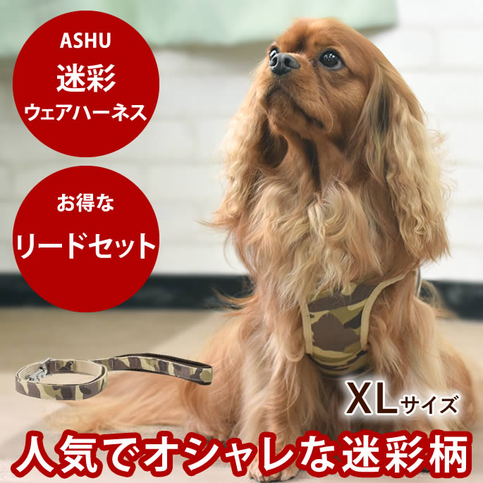 腎の臓に愛想のいい召し上がる特集