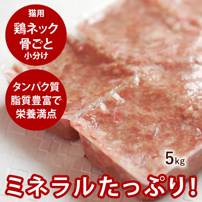 腎の臓に愛想のいい召し上がる特集