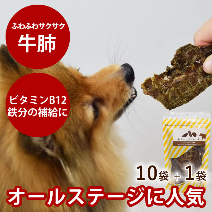 犬 おやつ 無添加 国産 ジャーキー 牛サクサクジャーキー 50g&times;10袋＋1袋おまけセット 安心・無添加おやつ　国産おやつ ペットおやつ オヤツ ご褒美 鶏肉アレルギーの愛犬におすすめ いぬ 小犬 老犬 素材そのまま 硬くない 栄養豊富 食いつき おいしい プードル パピヨン｜帝塚山ハウンドカム　店
