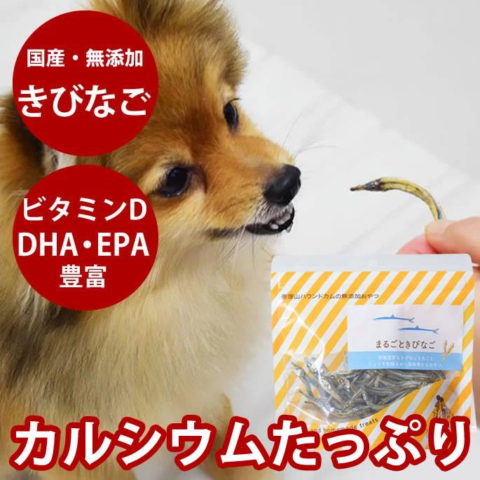 犬猫用おやつ｜まるごときびなご 25g 安心・無添加おやつ 低脂肪 国産 魚のおやつ カルシウム