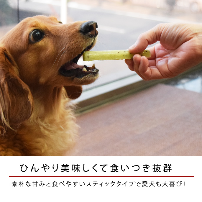 市場 犬用アイス 無添加 スティックアイスキャンディー フルーツアイス シャーベット 12本 犬用おやつ 犬用スイーツ 砂糖不使用 6つの味 各2本