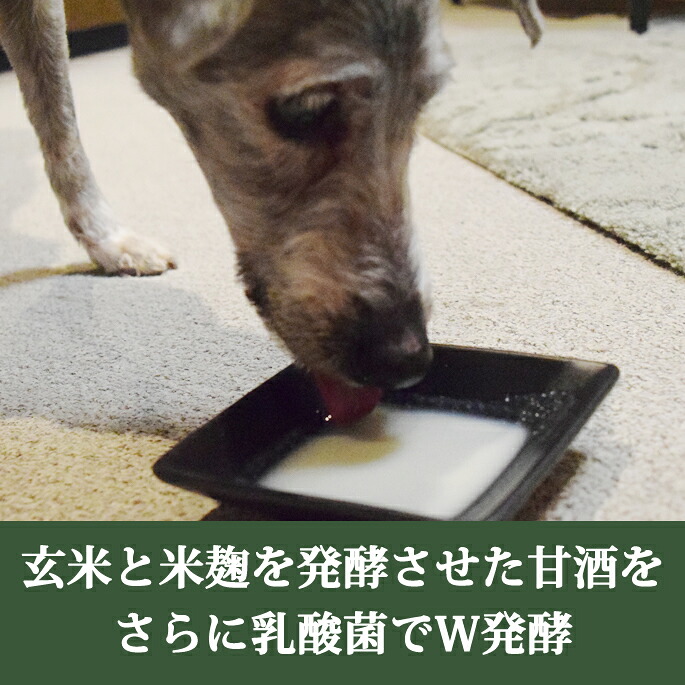 犬猫料 ノンアルコール甘酒 腎臓に温かい発酵のめぐみ 玄米 150g 12一 