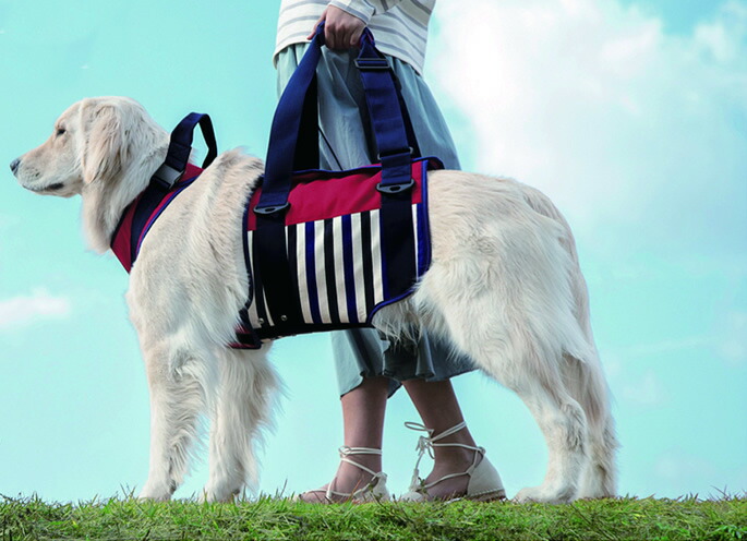 歩行補助ハーネスLaLaWalk大型犬用マリン【ハーネス犬ハーネスドッグ犬ハーネスおしゃれ犬用ハーネスペット用品ハーネスペットグッズわんちゃんハーネス犬犬用ハーネス犬のハーネス犬ハーネス犬用品散歩いぬイヌワンちゃん大型犬歩行補助】
