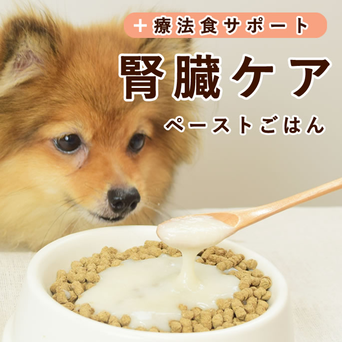 百貨店大売り出し特設ペイジ