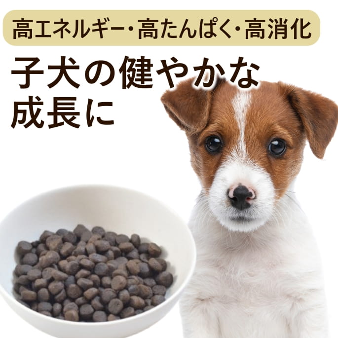 半年分まとめ買い大売り出し