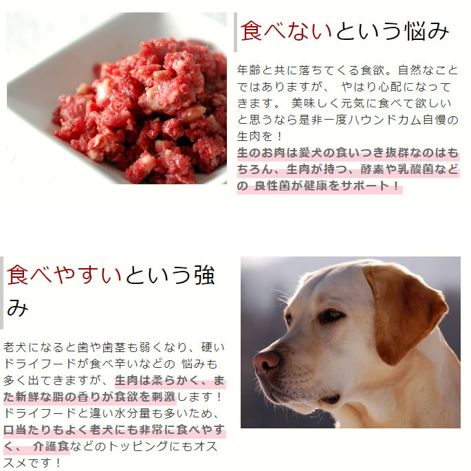 老犬健康生肉セット 高齢犬 犬用 犬 馬肉 シニア 鹿肉 ペット 酵素 ミンチ 低カロリー 老犬 生肉 エゾ鹿肉