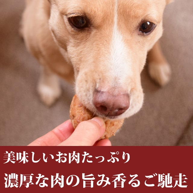 市場 冷凍 犬用猫用 約30g 5個 5個入り 手作り食 犬用猫用ハンバーグ 豚バラのハンバーグ