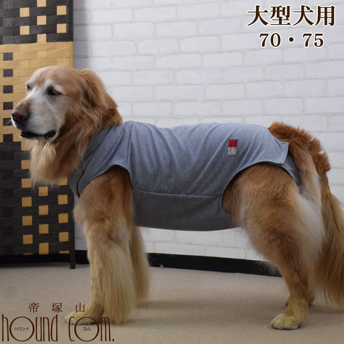 楽天市場 犬用 術後カバー服 大型犬用 サイズ70 75 大柄なレトリバー バーニーズマウンテンドッグ 着せやすい 傷なめ防止 手術後 術後服 介護服 老犬 シニア 介護 エリザベスカラー代替 ストレスフリー 動きやすい 傷舐めない 避妊手術 去勢手術 愛犬手作りご飯