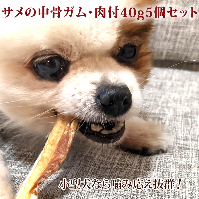 市場 サメの中骨ガム ガム 魚のおやつ 犬用 デンタルケア 肉付40g5袋セット 無添加