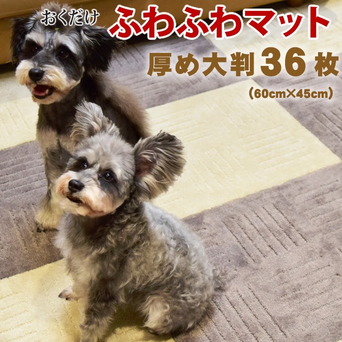 百貨店大売り出し特設ペイジ